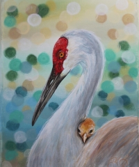 Sandhill_Crane